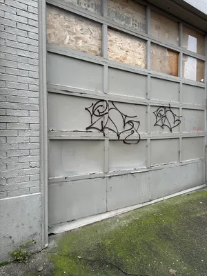 File:De1ca7a8-IMG 9062.webp