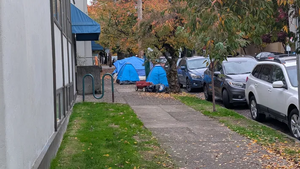 PXL 20251103 154318122.webp