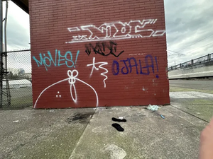 2ff5c202-IMG 9303.webp