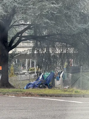 File:9b5d9a46-IMG 0509.webp