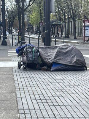 Capture 1775170536.jpg