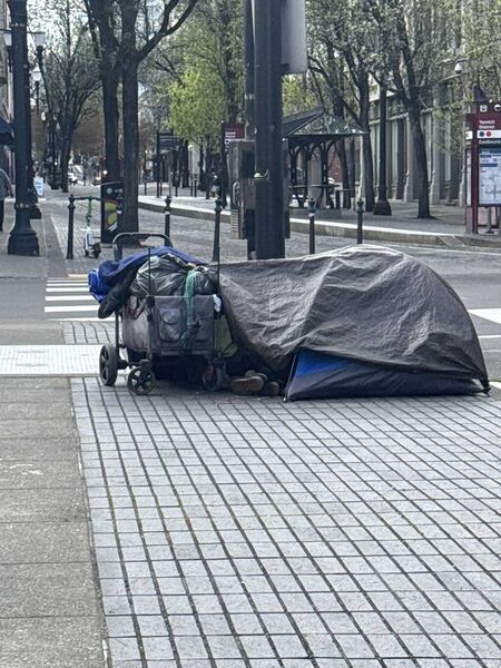 File:Capture 1775170536.jpg