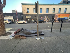 8f947698-IMG 9126.webp