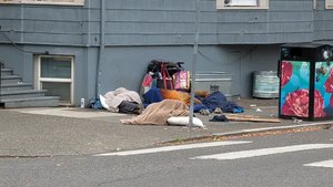 PXL 20250922 142456715.webp