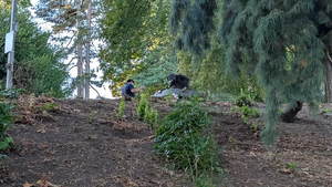 PXL 20250925 145029413.webp