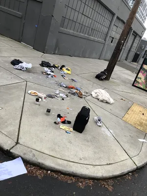 File:2006113a-IMG 3735.webp