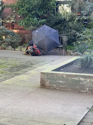 6a5e4a40-IMG 4232.webp