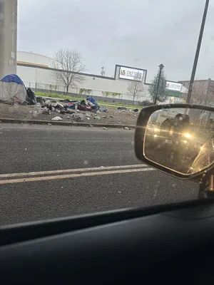 File:E51b3ff3-IMG 4630.webp