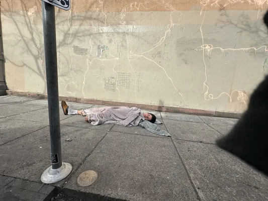 File:098766fd-IMG 9494.webp