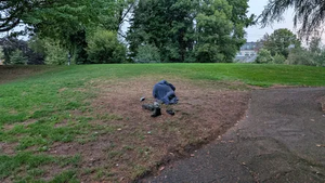 PXL 20250922 141802774.webp