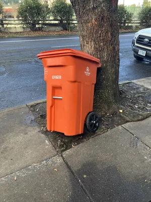 File:D1aabcbe-IMG 0180.webp