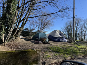 5acfd27a-IMG 4585.webp