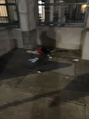 File:3b05234a-IMG 0189.webp