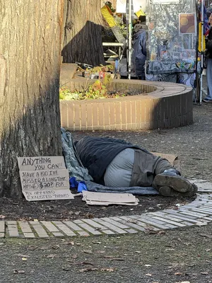 File:D40c7377-IMG 0545.webp