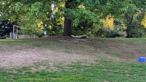 PXL 20250925 144732659.webp