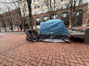 9fcb43f0-IMG 9394.webp