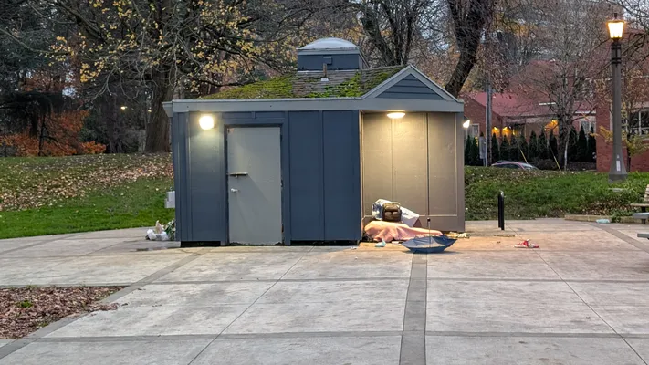 File:E6dfcfce-PXL 20251202 153520090.MP.webp