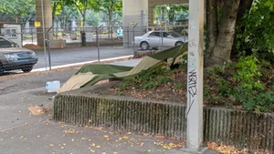 PXL 20250831 171423490.webp