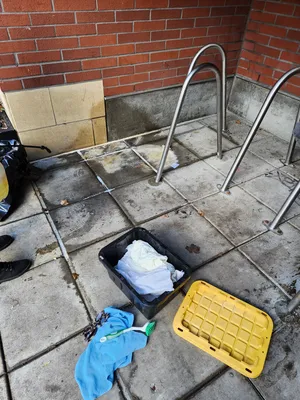 33fba96b-20260115 101500.webp