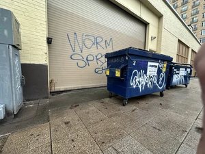 B796254b-IMG 9396.webp