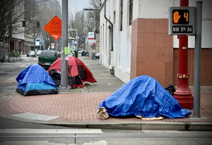 D85c0fbc-IMG 6983.webp