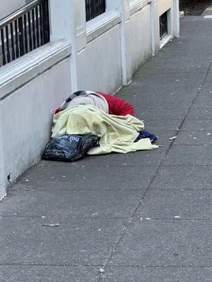 2ab3c265-IMG 0573.webp