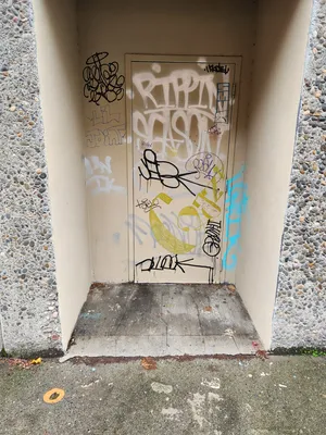 99206fca-20251204 122709.webp