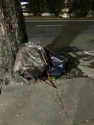 File:4b9c0d35-IMG 0194.webp