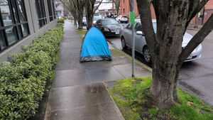 Capture 1772835531.jpg