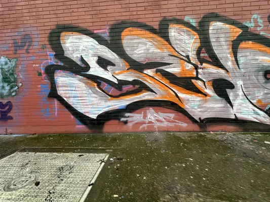 File:A44047f7-IMG 9401.webp