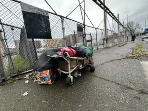 04649887-IMG 9402.webp