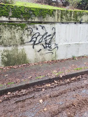 File:Bf5e9d38-20251215 154618.webp