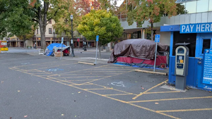 PXL 20251015 145131819.webp