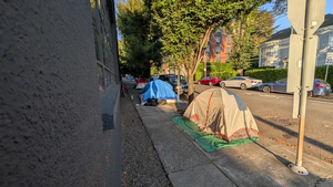 PXL 20250926 150102401.webp