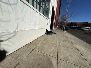 144e366d-IMG 9196.webp