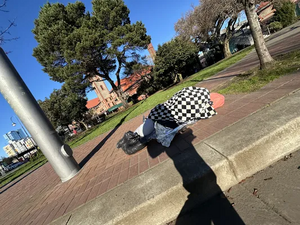 7986de08-IMG 9185.webp