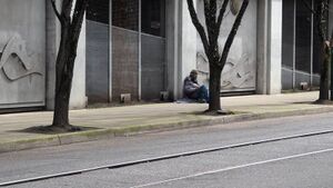 Capture 1773003306.jpg