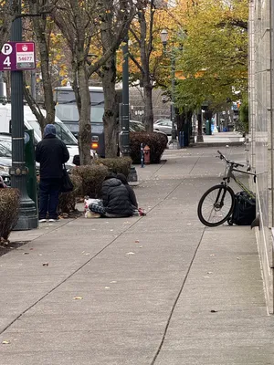 File:D12464da-IMG 0500.webp