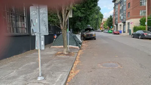 PXL 20250825 151643384.webp