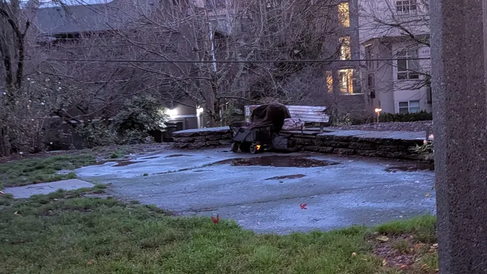 File:A9aa02f3-PXL 20251217 152827897.webp