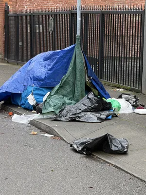 File:1b9c1cf1-IMG 0563.webp