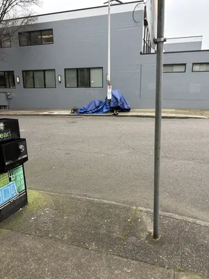 File:4c378900-IMG 2481.webp