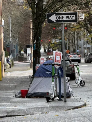 2414d006-IMG 0531.webp