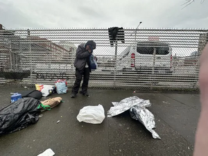 2f0d8fb0-IMG 9399.webp