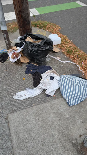 PXL 20250825 151440204.webp