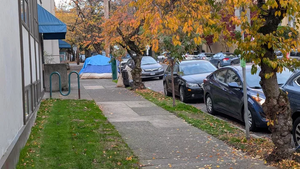 PXL 20251110 154241059.MP.webp