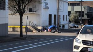 Capture 1774914144.jpg