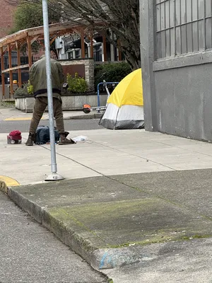 File:Fd6e189f-IMG 0555.webp