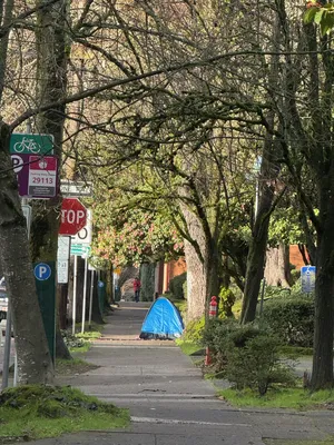 File:Db52d3ef-IMG 0551.webp