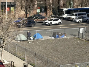 1a0c24df-IMG 0275.webp